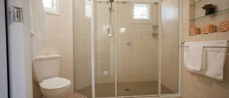 A bathroom with a glass-enclosed shower, a toilet, and a shelf with decorative items.