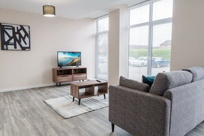 Fernseher, Arbeitsbereiche