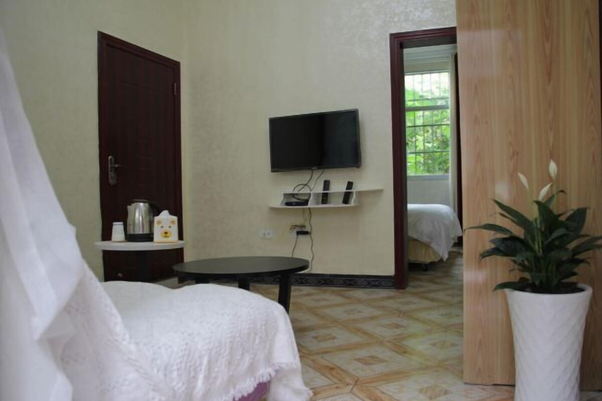 A room with a bed, a TV mounted on the wall, a small table, and a potted plant.
