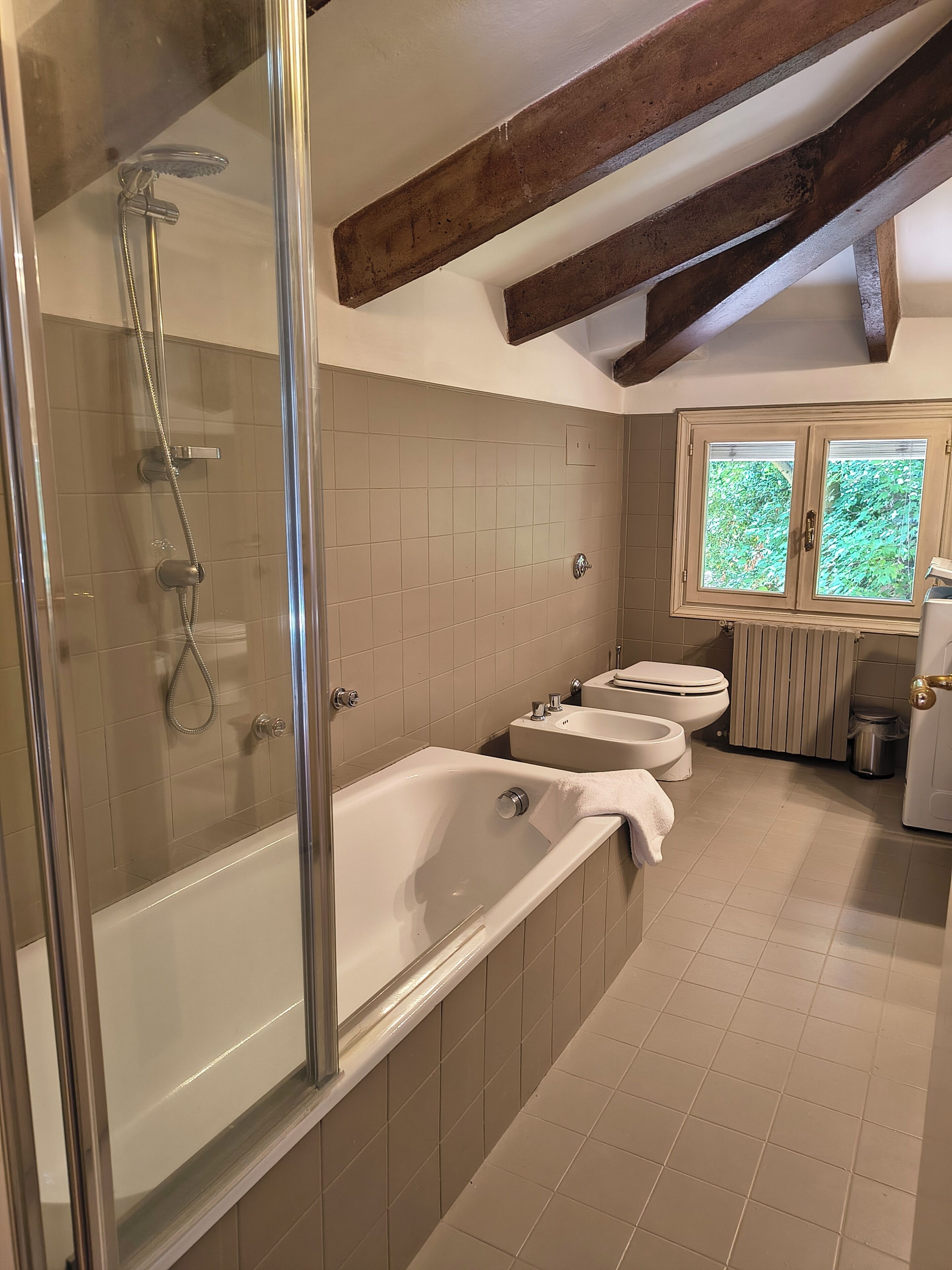 Hair dryer, bidet, towels, soap