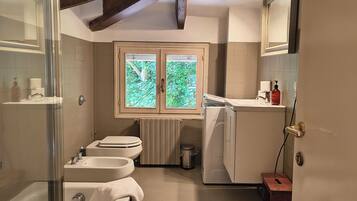 Hair dryer, bidet, towels, soap