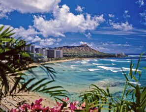 Beach - Updated! Humble Hawaiian Monarch Studio | Pool (Honolulu)