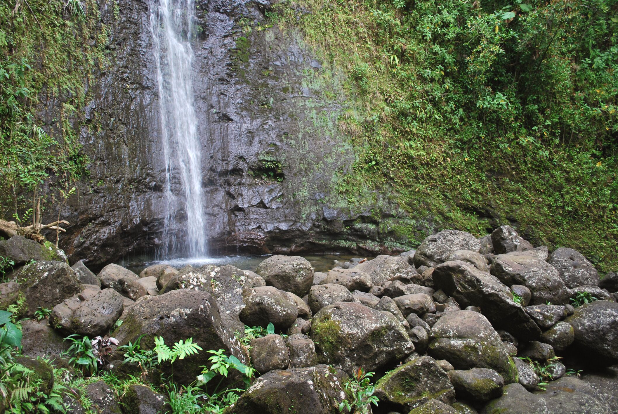 A waterfall cascading over rocks in a lush, green forest.