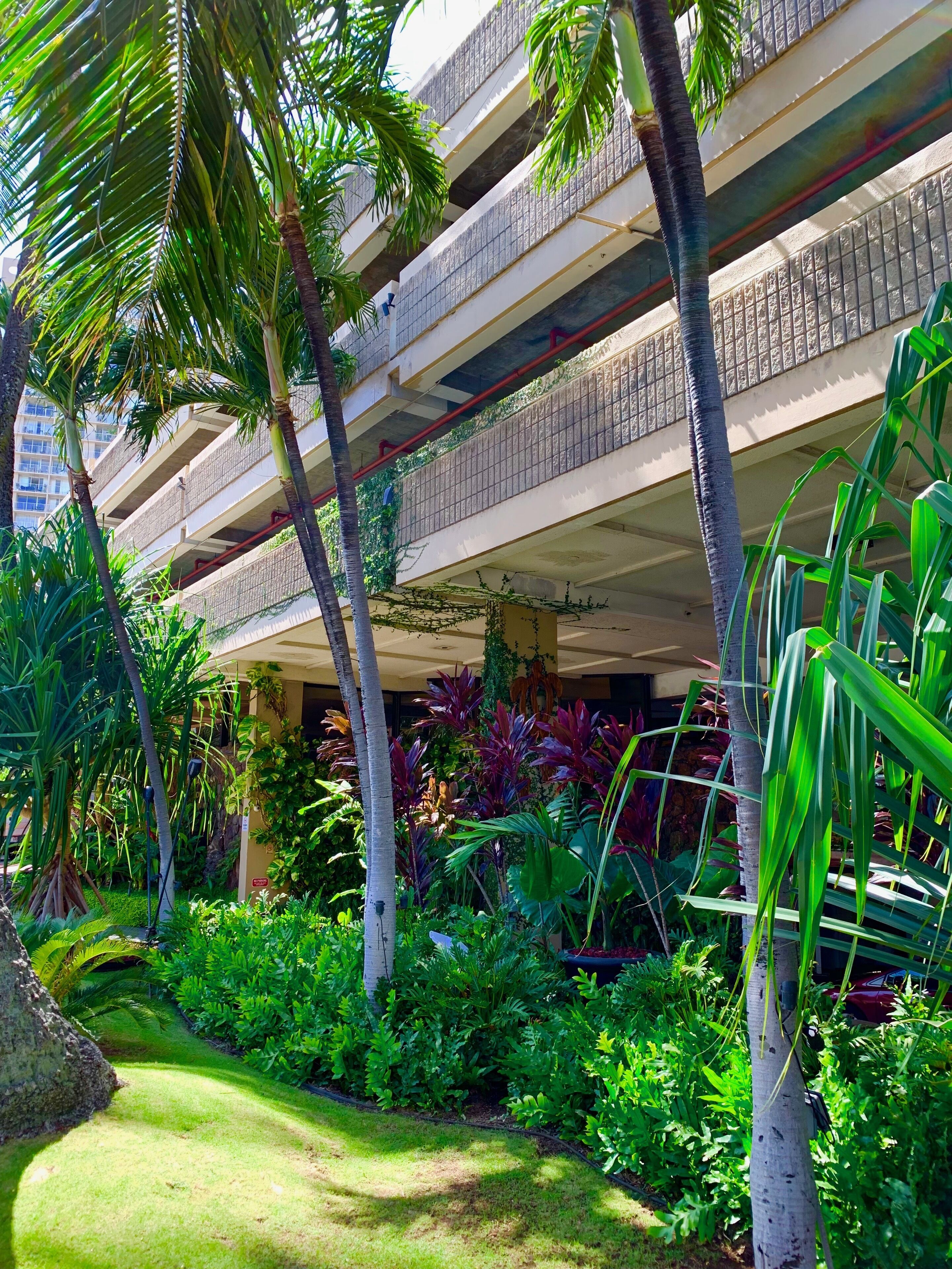 Overnattingsstedets uteområder