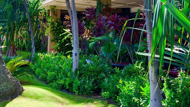A multi-story building with balconies, surrounded by lush tropical vegetation. - Trendy Hawaiian Monarch Studio | Ocean View | Pool (Honolulu)