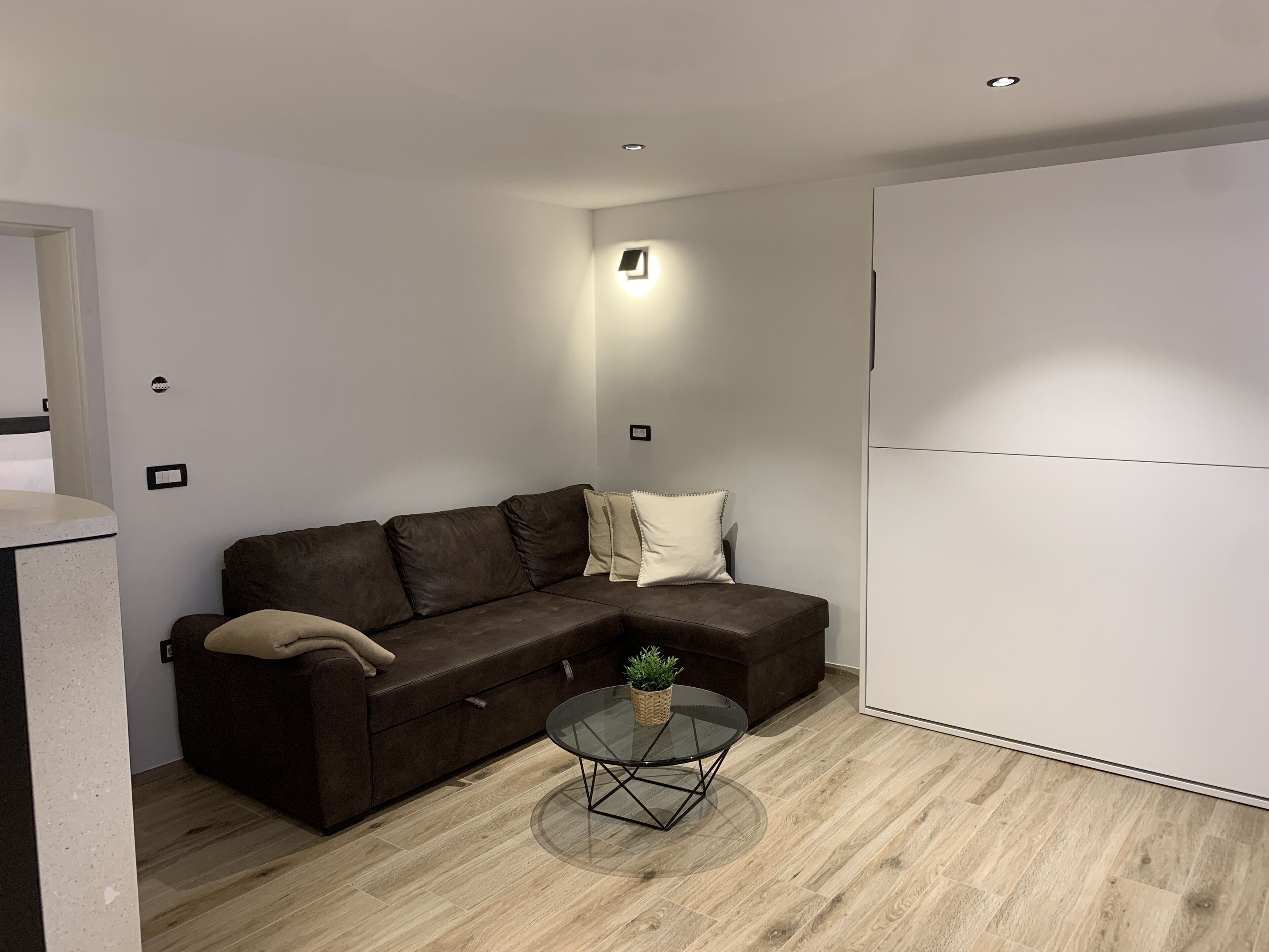 Een moderne woonkamer met een donkerbruine leren bank, een glazen salontafel met een plant, en een witte garderobe.
