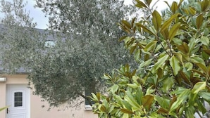 Een gebouw met een beige gevel, een witte deur en een tuin met groene begroeiing en een boom.