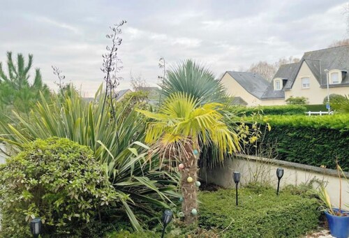 Large, quiet house 5 minutes' walk from the beach