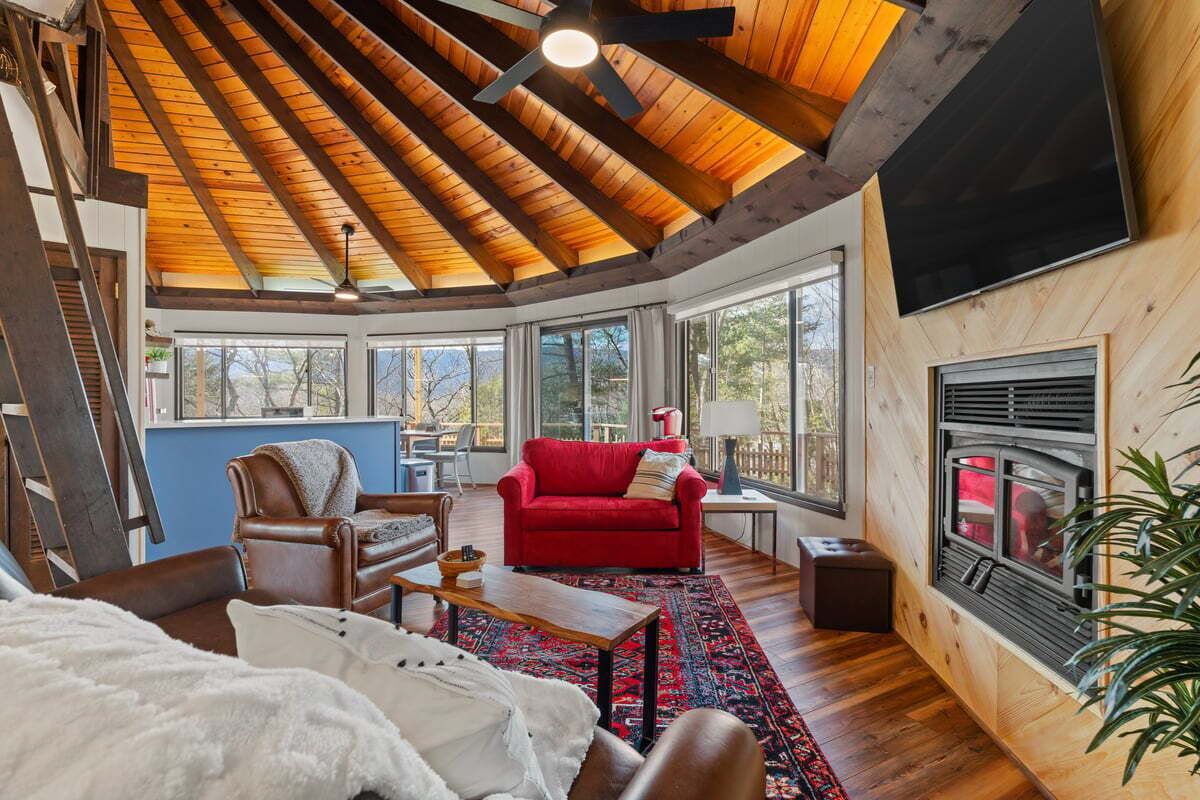 Smart TV, fireplace, books