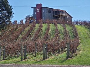 Exterior - 1 m. to Ski/Snow tube+Fire pit+360 Views+Wineries (Basye)