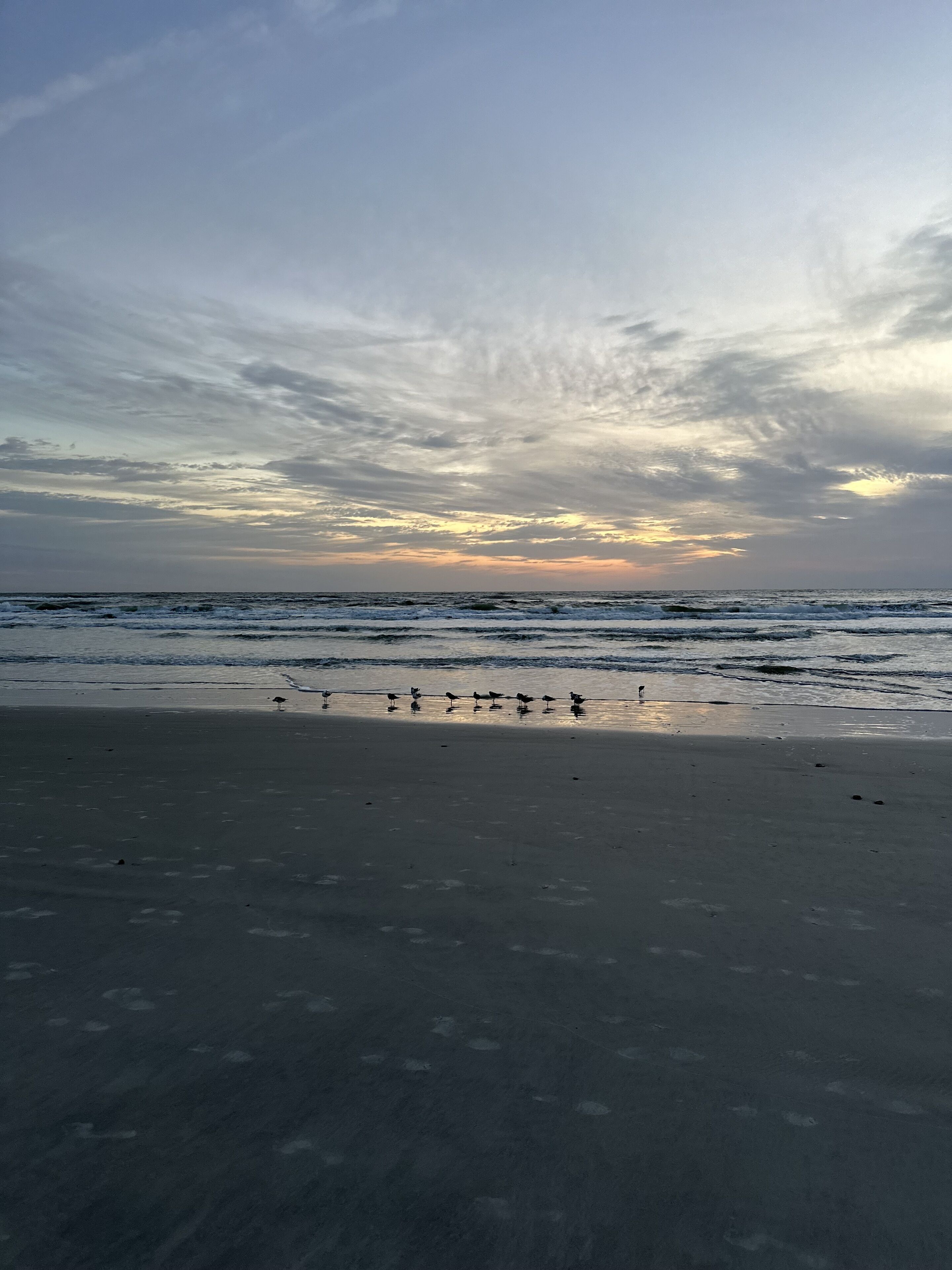 Strand