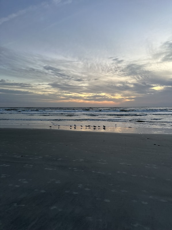 Uma praia com mar calmo e céu nublado.