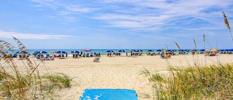 Nära stranden