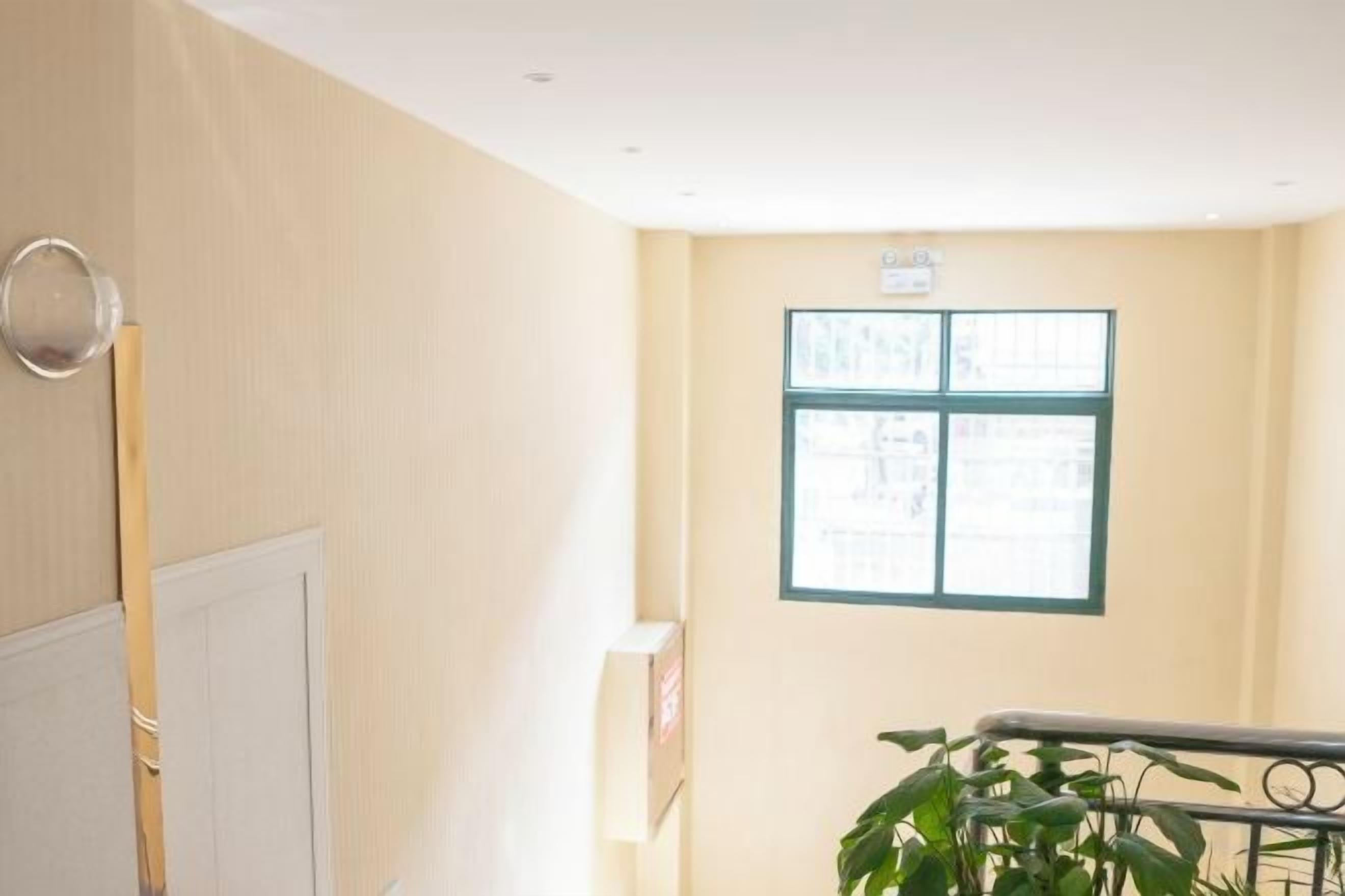 A room with a window, a radiator, and a plant.