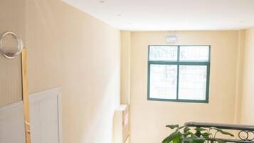 A room with a window, a radiator, and a plant.