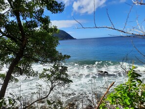 A beach with clear water, trees, and a distant mountain.