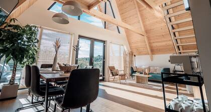 A Frame Chalet in Dealu Mare