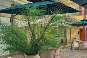 Àrea exterior de l'allotjament