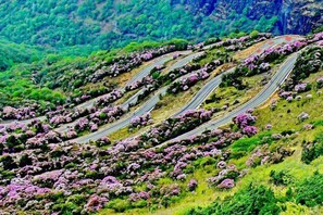 Vista desde la propiedad
