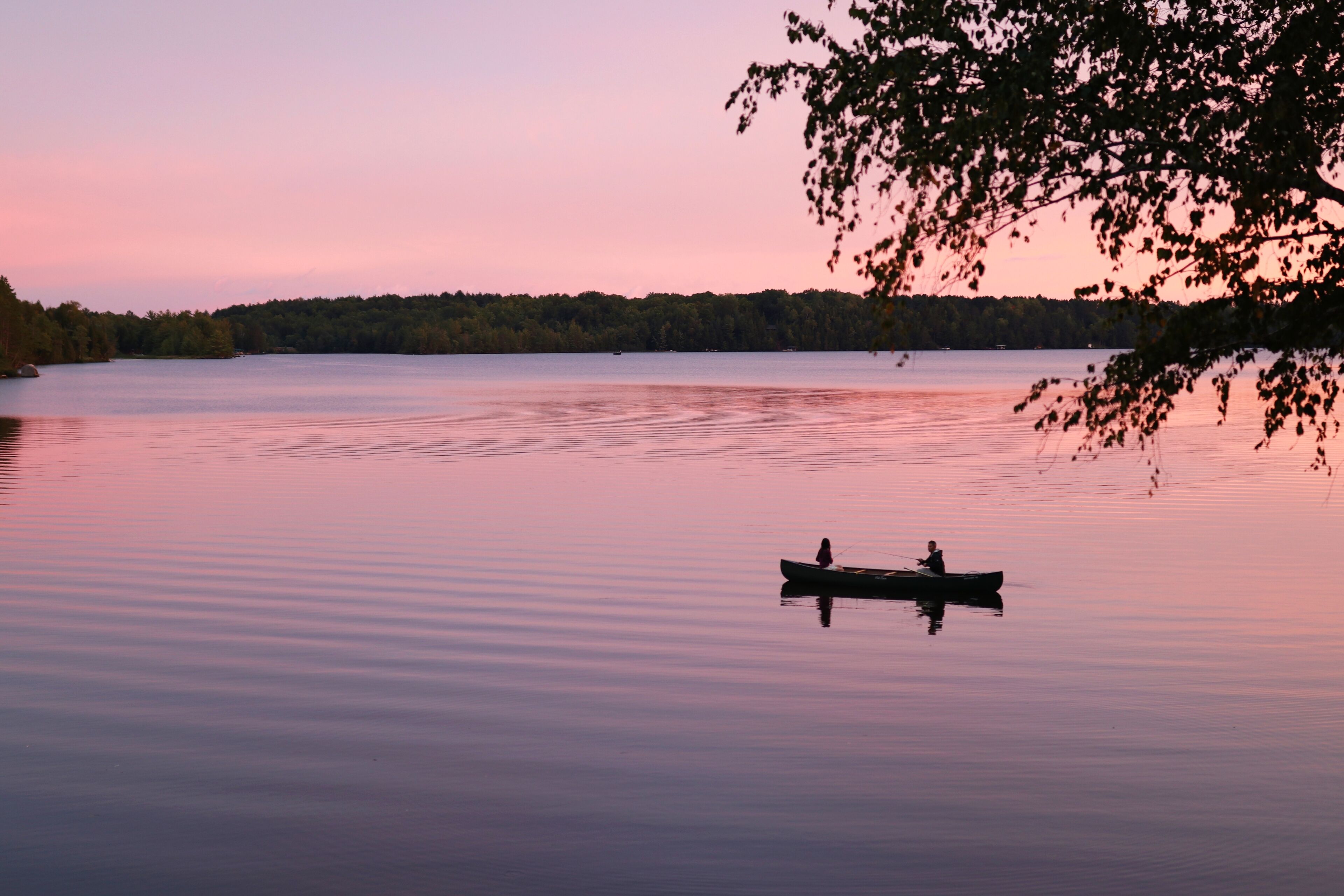 Tranquil Lakefront Gem: Full-Rec 732 Acre Lake, A/C, Private Dock, Canoe, Kayaks
