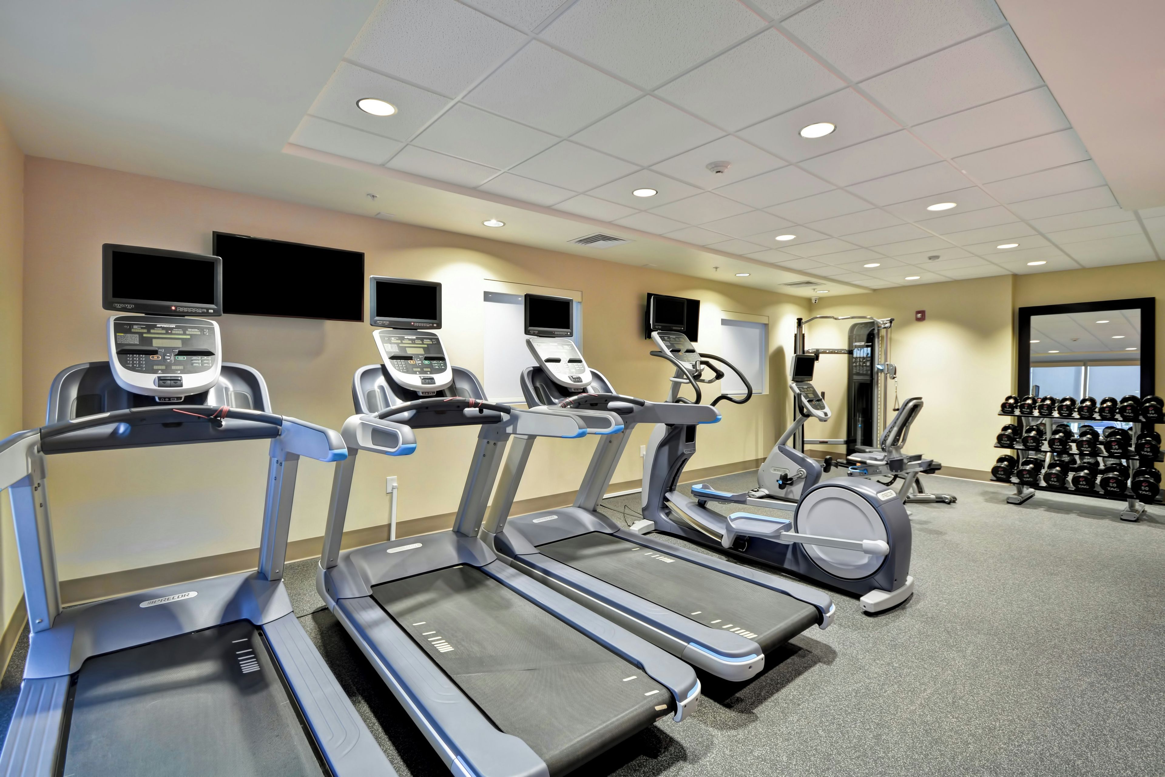 A fitness center with treadmills, ellipticals, and a rack of dumbbells.