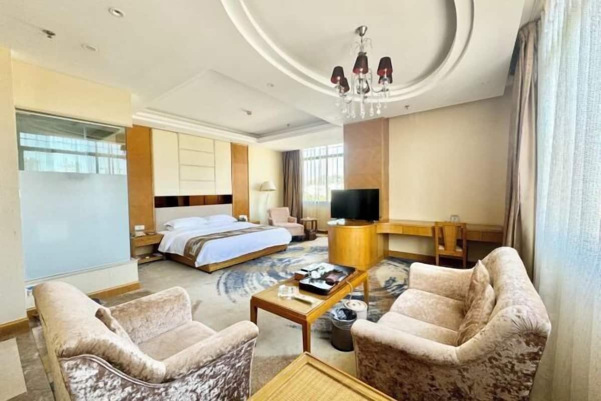 Una habitación de hotel con cama, televisión, escritorio y dos sillones.