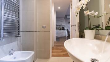Ducha, secador de pelo, bidet, toallas