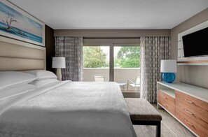 Iron/ironing board, Internet, bed sheets