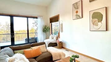 TV, fireplace, offices