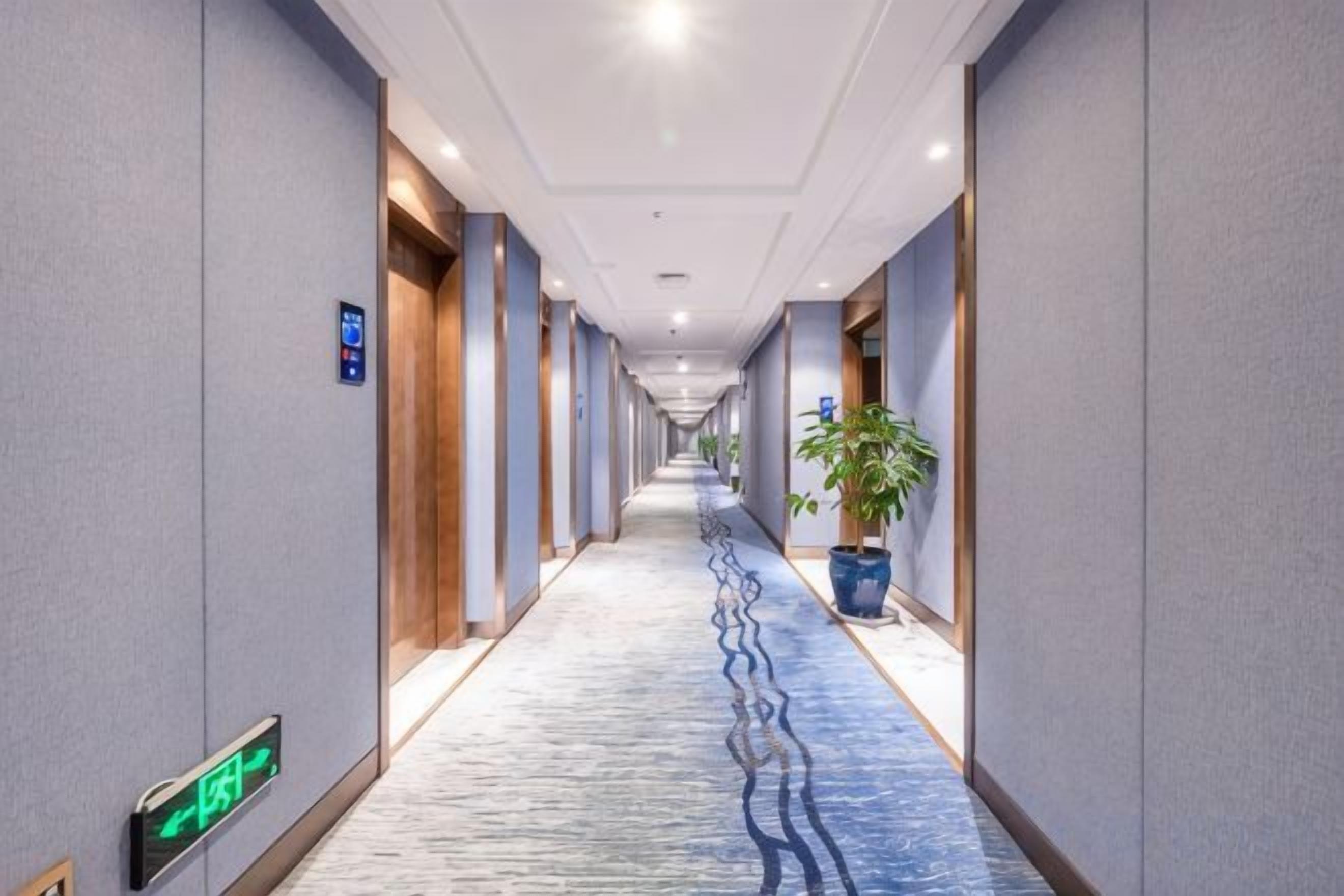 Un pasillo de hotel con puertas a ambos lados, piso alfombrado y una planta en maceta a la derecha.