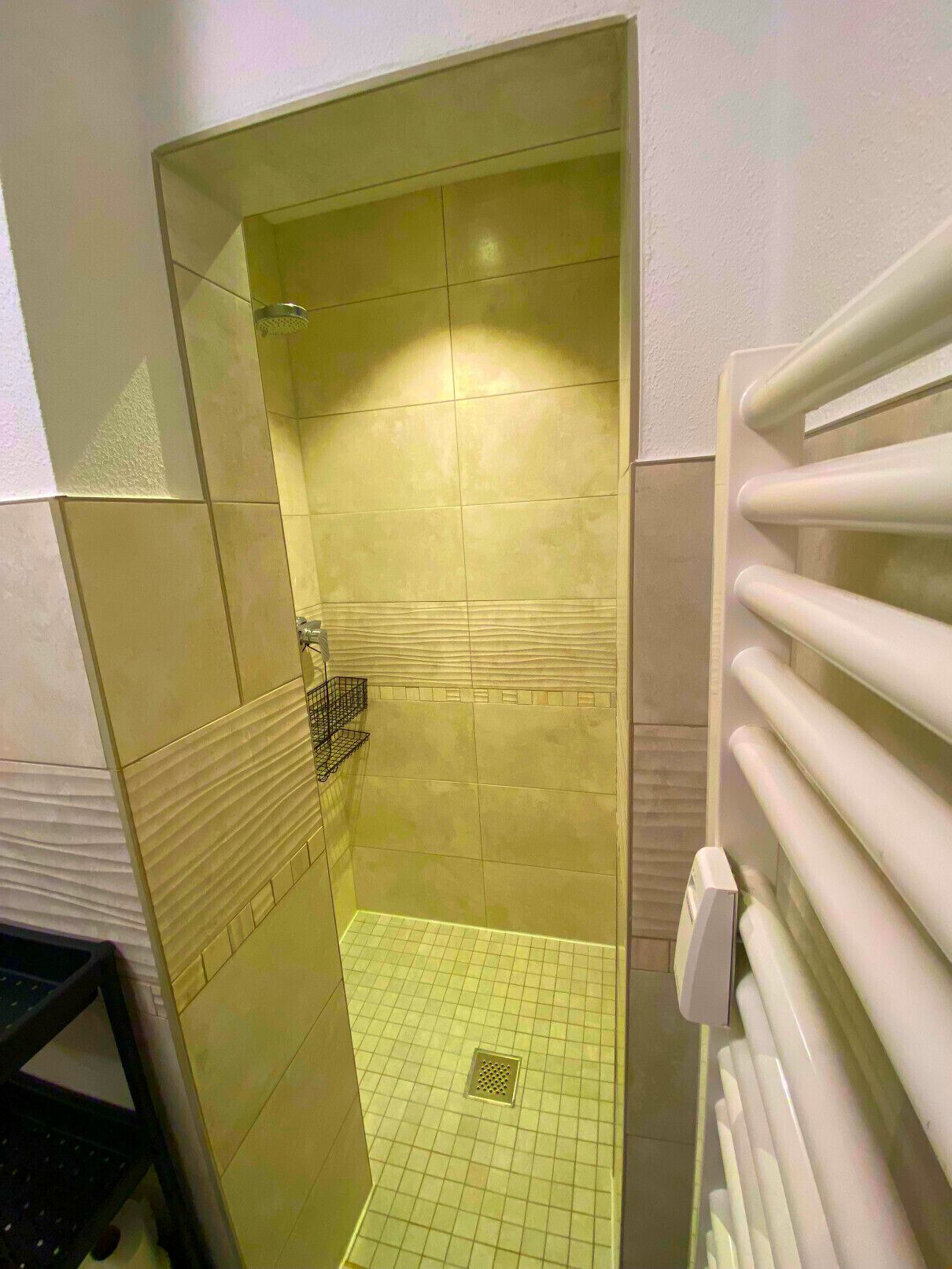Ein kleiner, abgeschlossener Duschbereich mit gefliesten Wänden und Boden, einem Metallregal und einem weißen Heizkörper.
