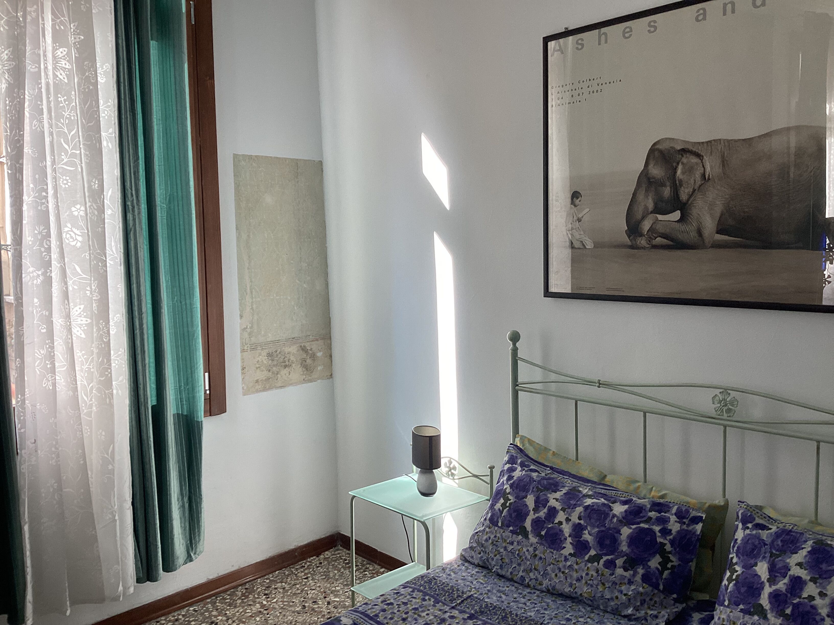 Foto - Venezia Naturalmente