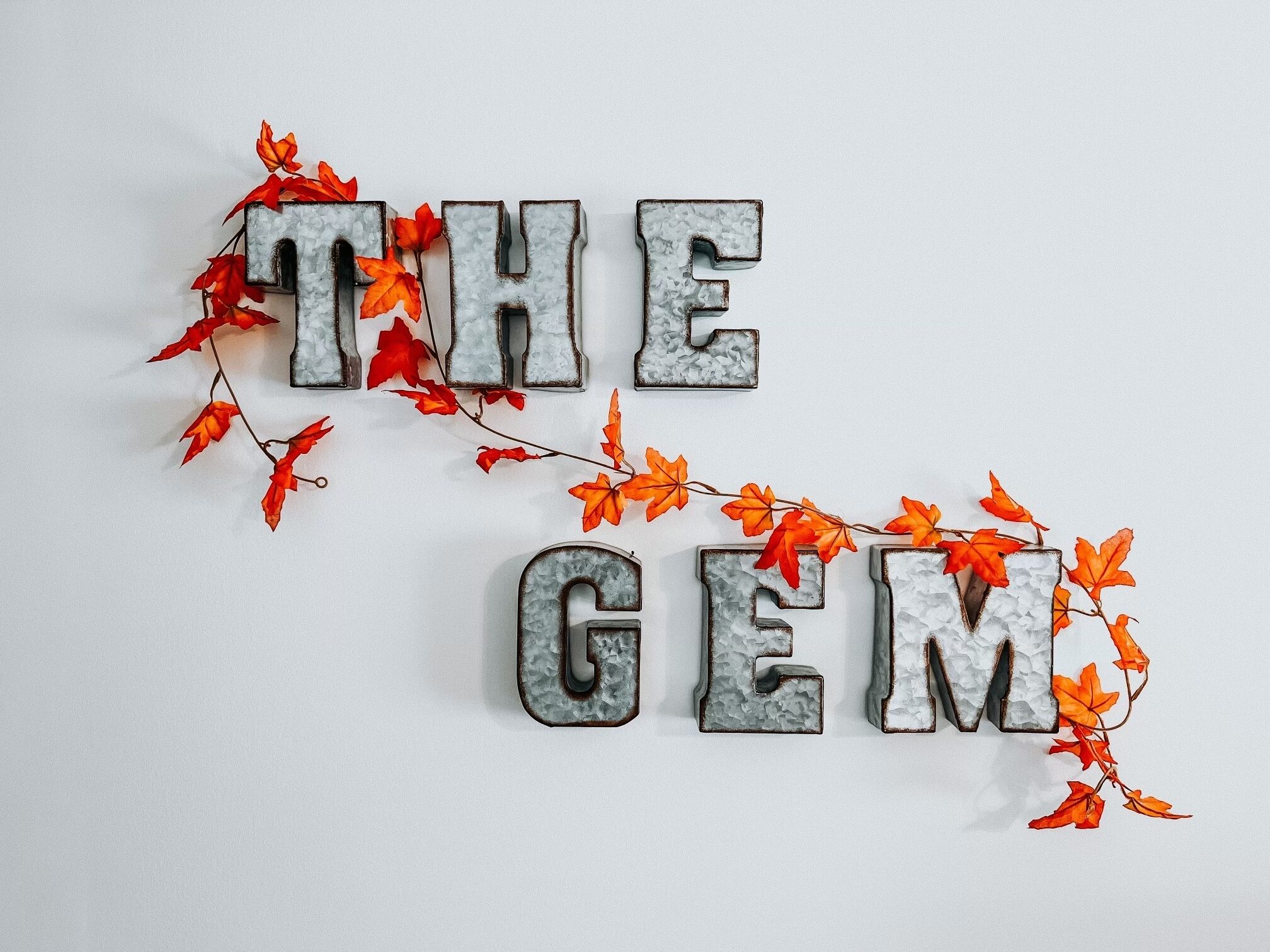 “The Gem” walking distance to downtown and both hospitals!