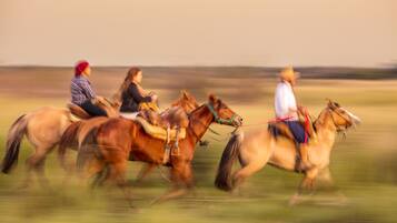 Un grupo de personas montando a caballo en un campo.