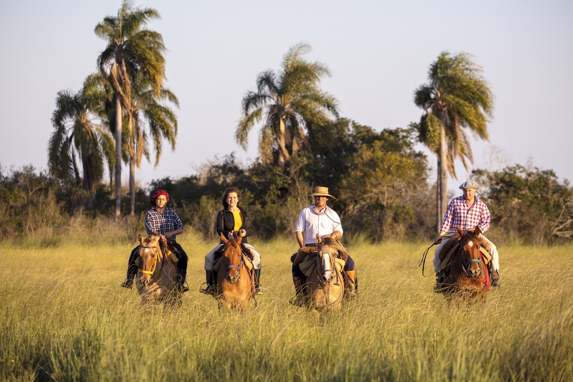 Vier Personen reiten Pferde durch ein grasbewachsenes Feld, im Hintergrund sind Palmen zu sehen.