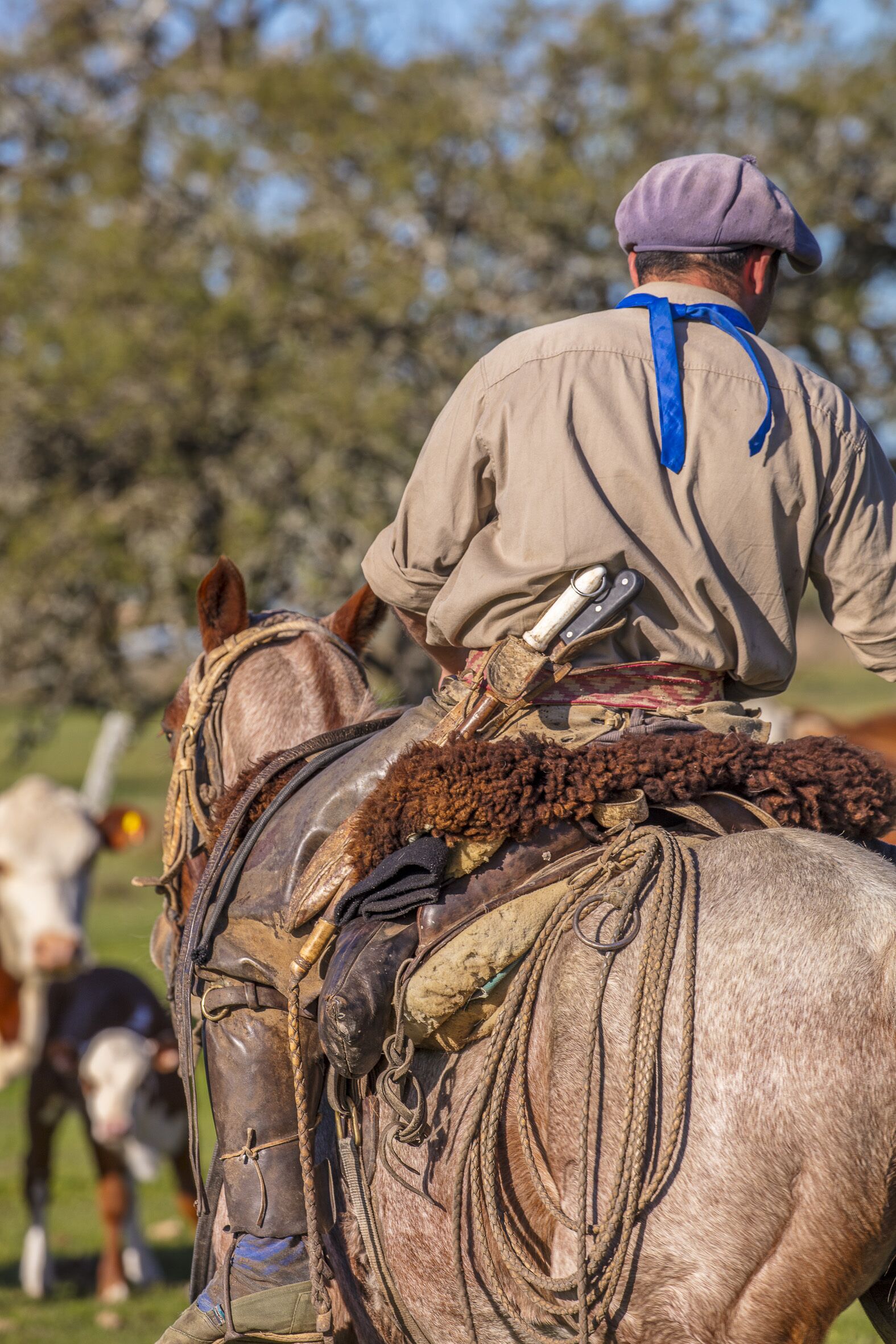 Una persona montando un caballo con silla de montar y riendas, usando sombrero y chaqueta.