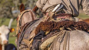 Una persona montando un caballo con silla de montar y riendas, usando sombrero y chaqueta.