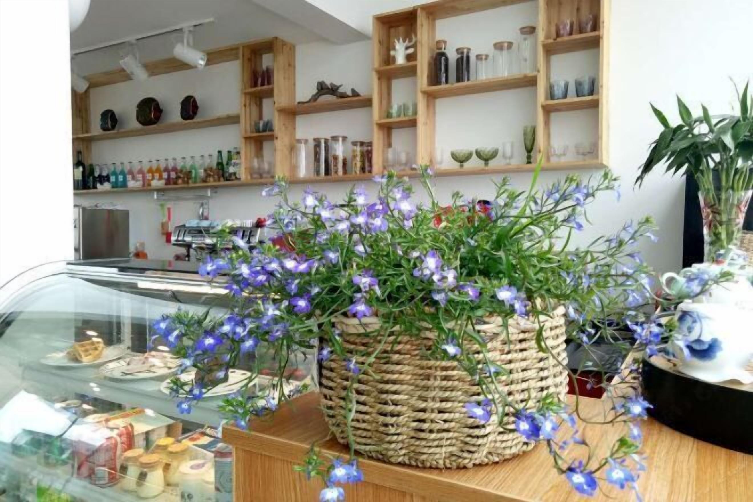 Opções para refeição