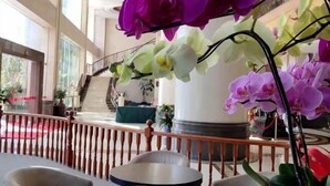 A hotel lobby with a staircase, a red carpet, and orchid plants. - Hua'an Hotel (Hua'an)