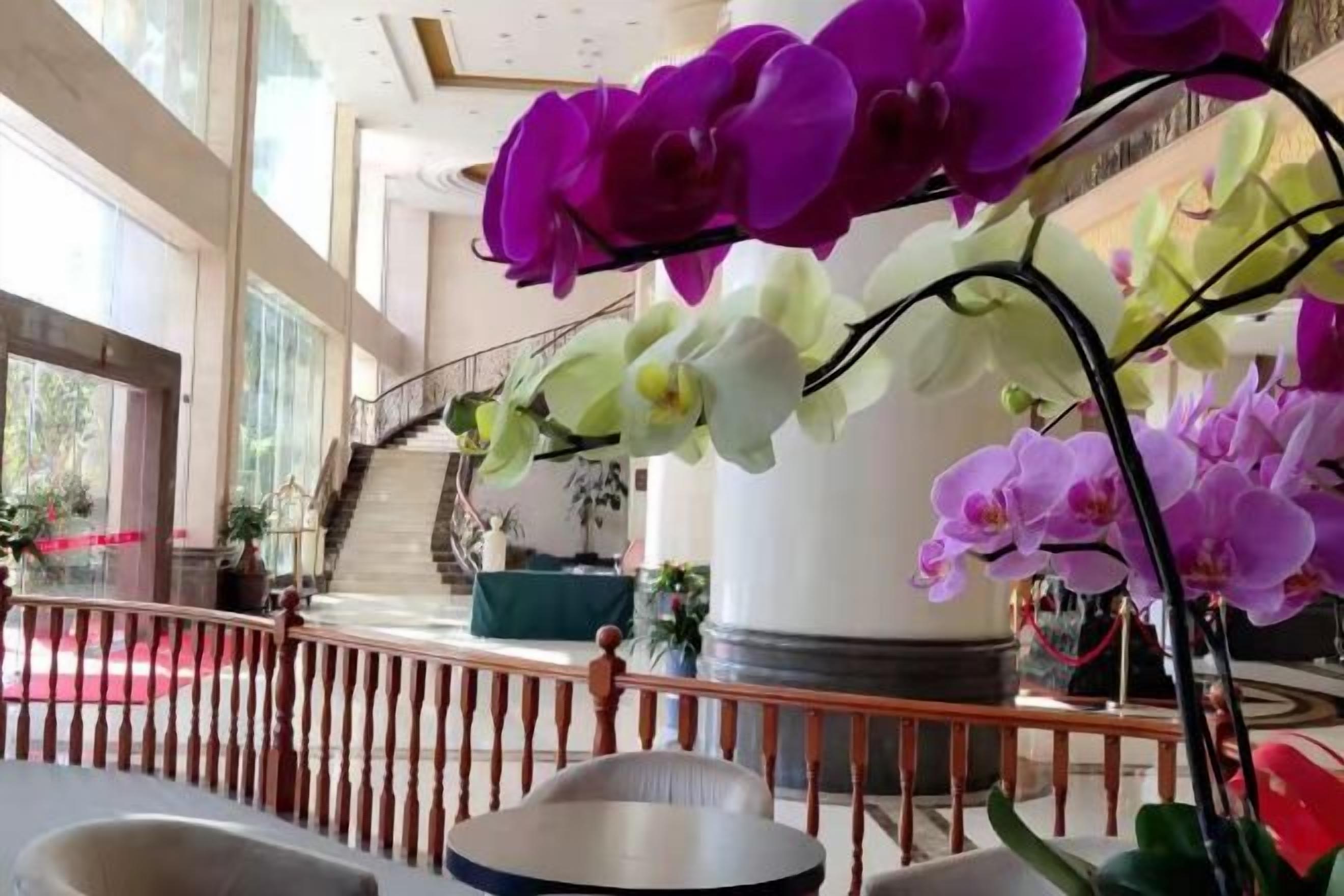 A hotel lobby with a staircase, a railing, and potted plants.