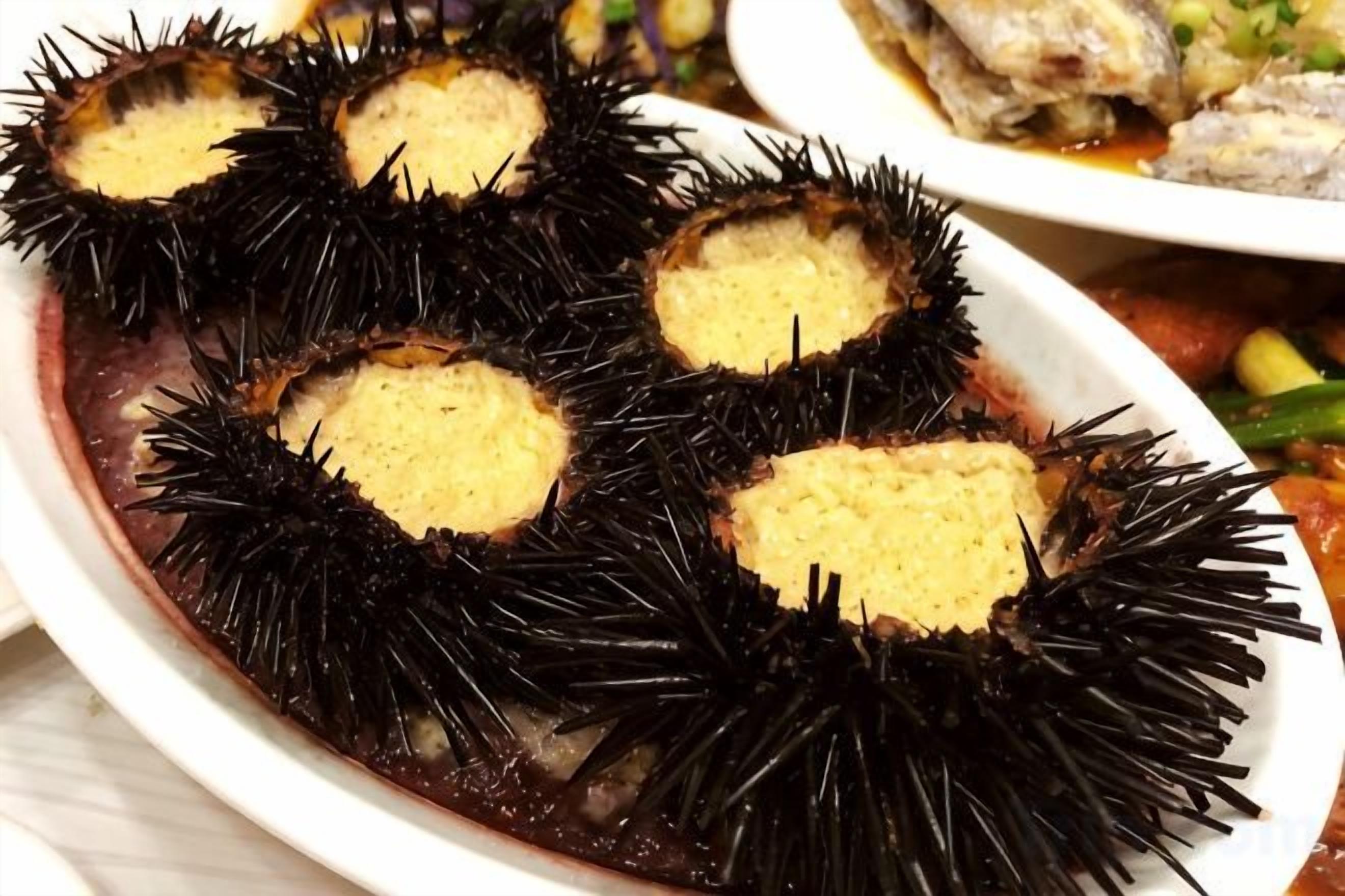 A dish with sea urchin and a sauce.