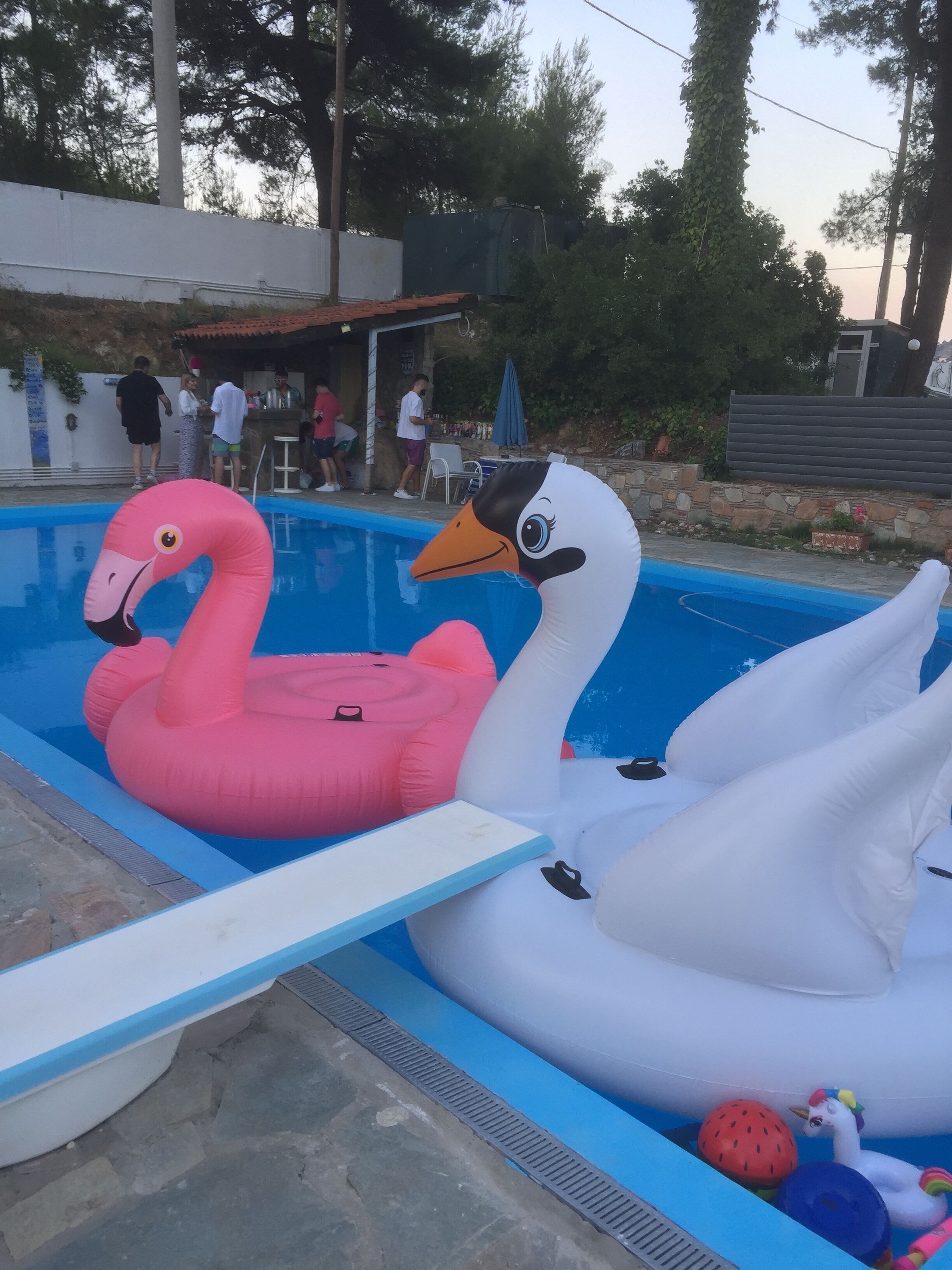 Rumah | Kolam renang | Kolam renang outdoor