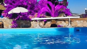 House | Pool | Outdoor pool