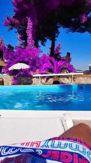 House | Pool | Outdoor pool