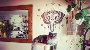 A cat on a cat tree in a room with a decorative wall mural, a mirror, and various plants. - Amazing Riverside Boheme Home in SW London! (London)