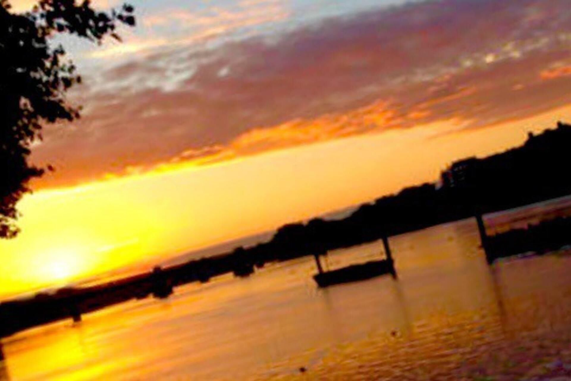 A sunset over a calm body of water with a silhouette of a tree on the left.