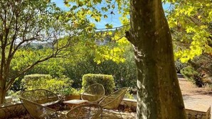 Un arbre sous lequel se trouvent un banc et des chaises.