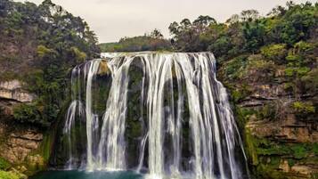 A waterfall cascading over a cliff into a pool surrounded by dense forest.