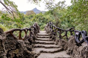 Eine Steintreppe mit einem natürlich wirkenden Geländer, umgeben von dichtem Grün und einem Berg im Hintergrund.