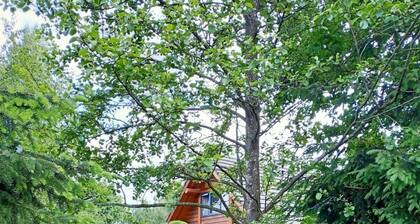 Unique wooden Villa (6p) with sauna in Twente 2